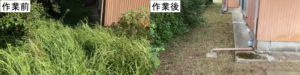 草刈り