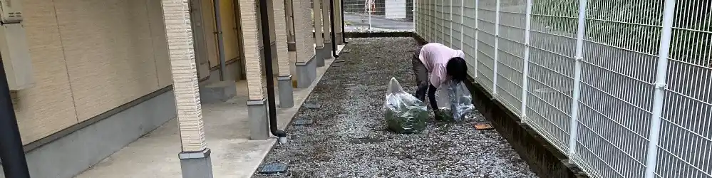 集合住宅の定期清掃