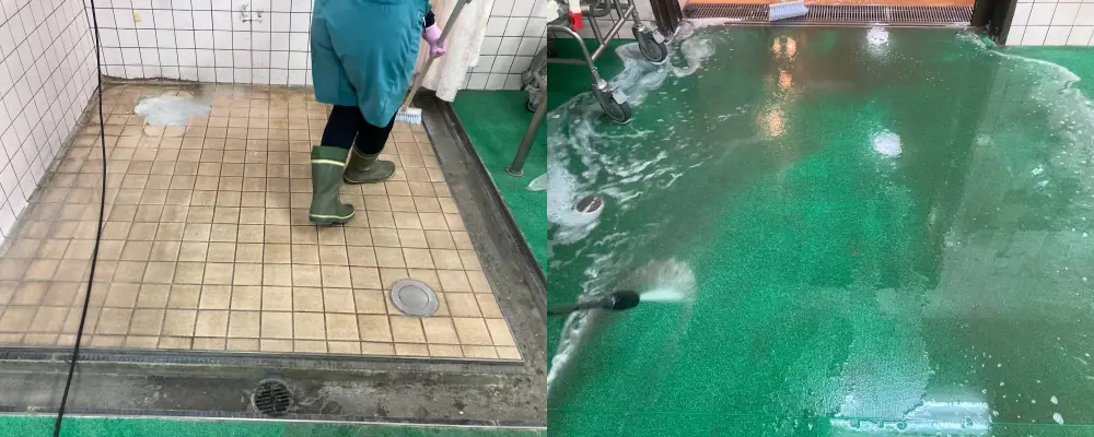 床クリーニング1